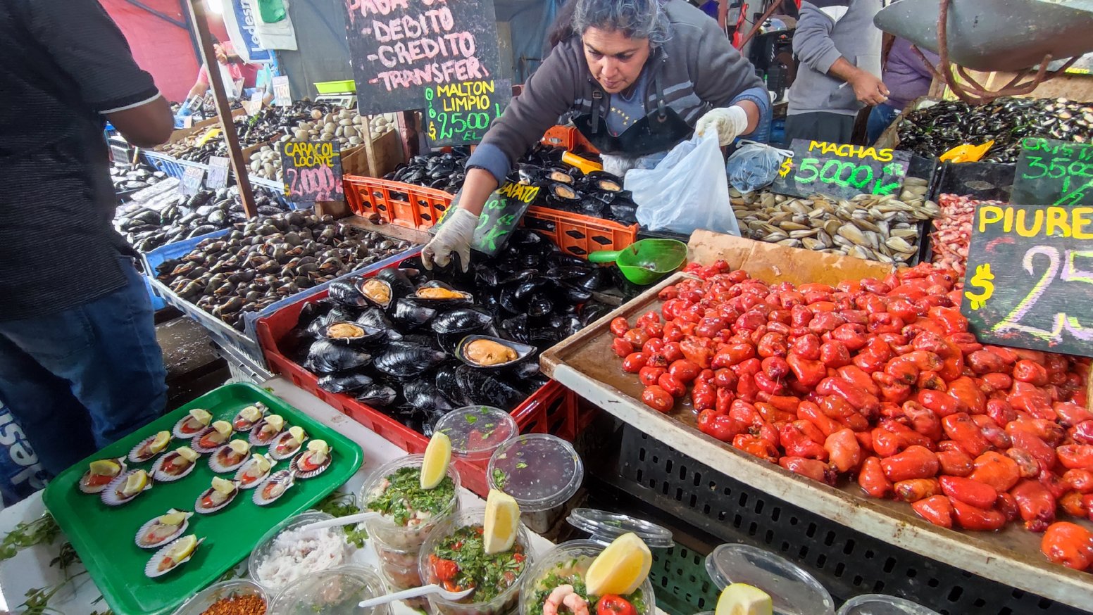Art, Sea, and Wine  in Santiago | Chile Private Tour