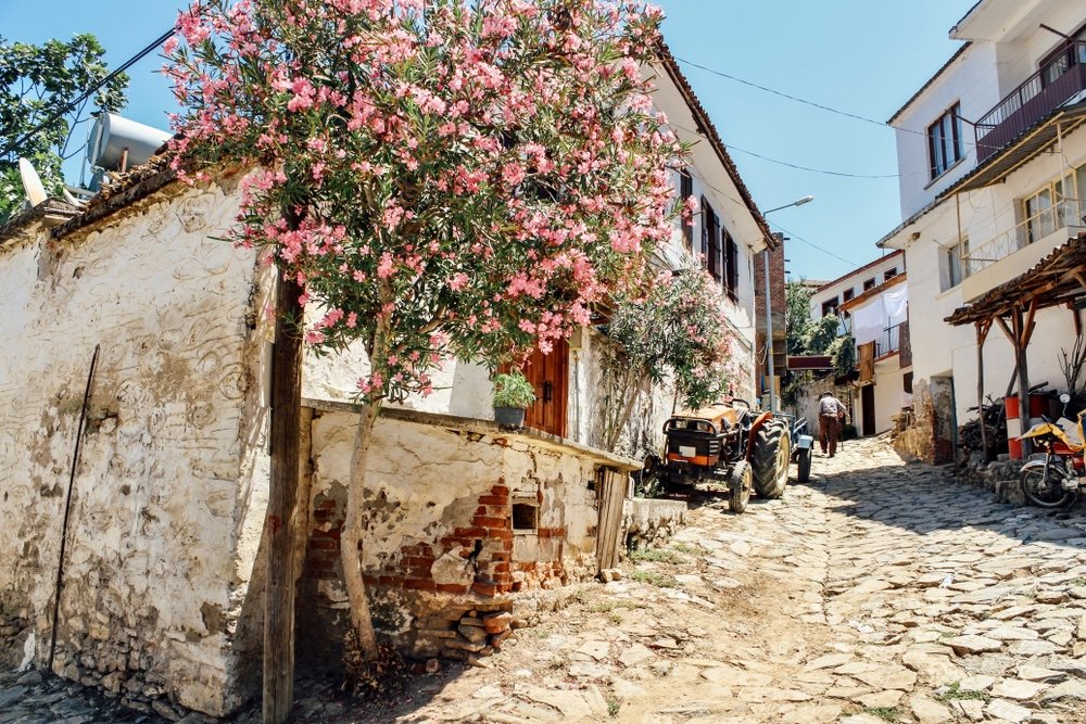 The Vineyards of Sunlit Izmir in İzmir | Türkiye Private Tour