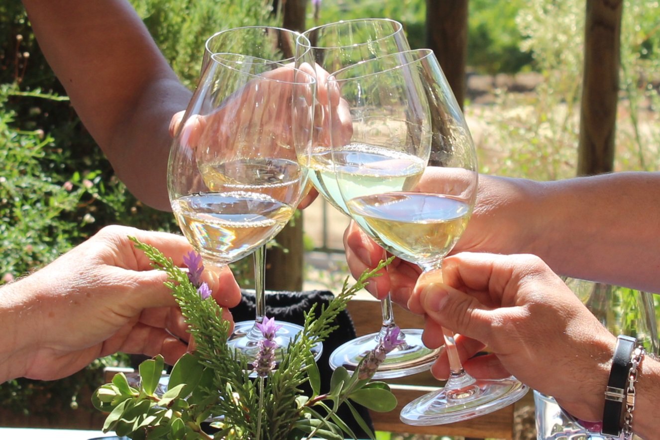 Rendezvous with a Winemaker in Valparaíso | Chile Private Tour