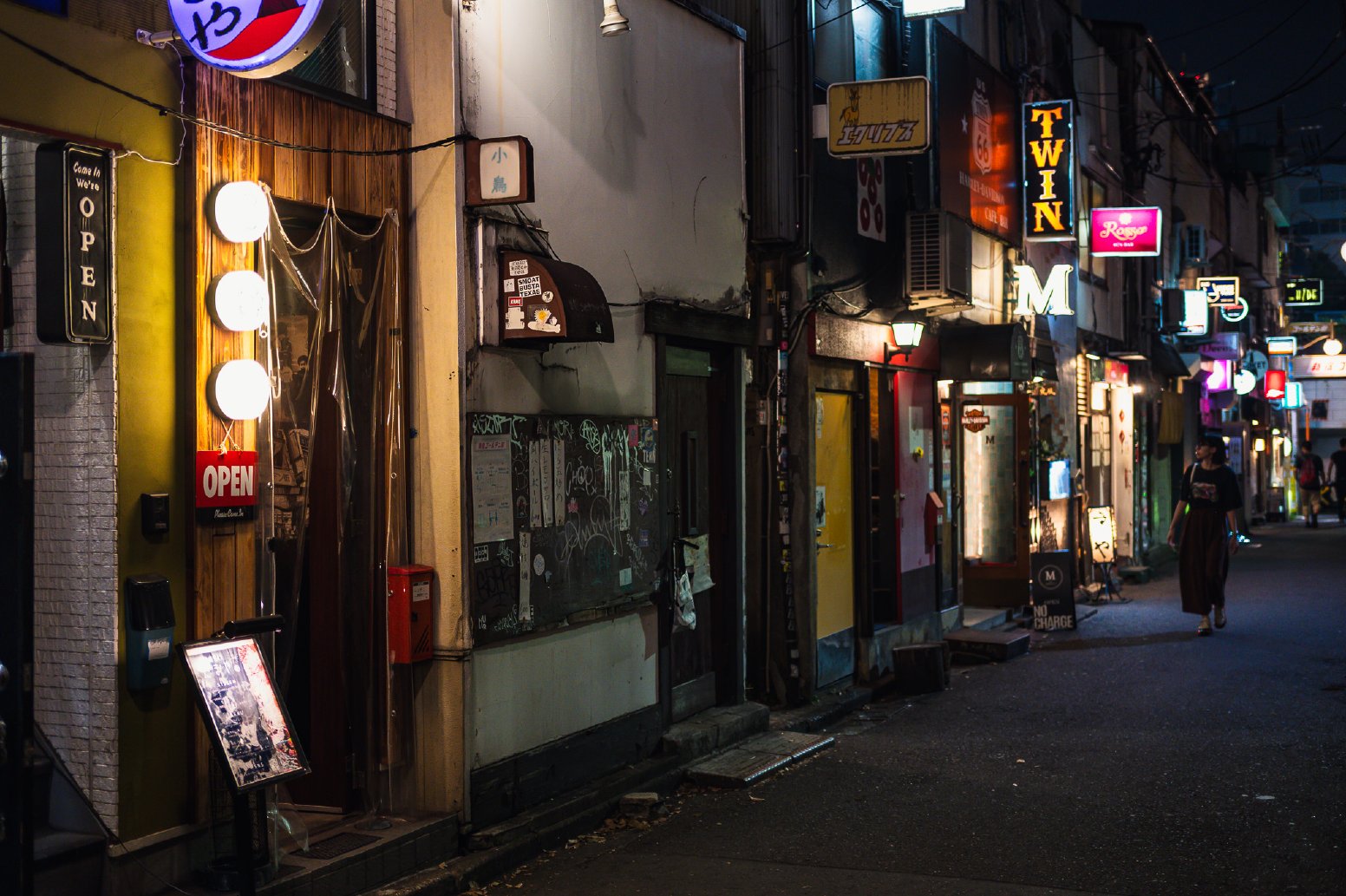 The Other Side of Shinjuku in Shinjuku City | Japan Private Tour