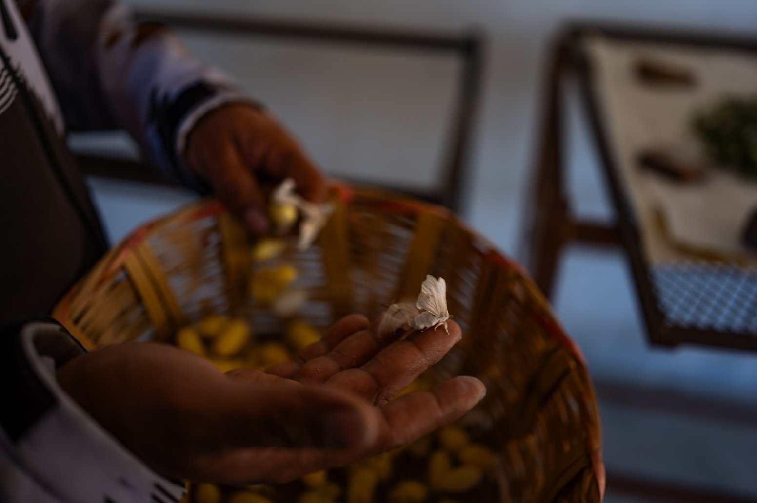 The Art of Oaxacan Silk in Teotitlán del Valle | Mexico Private Tour