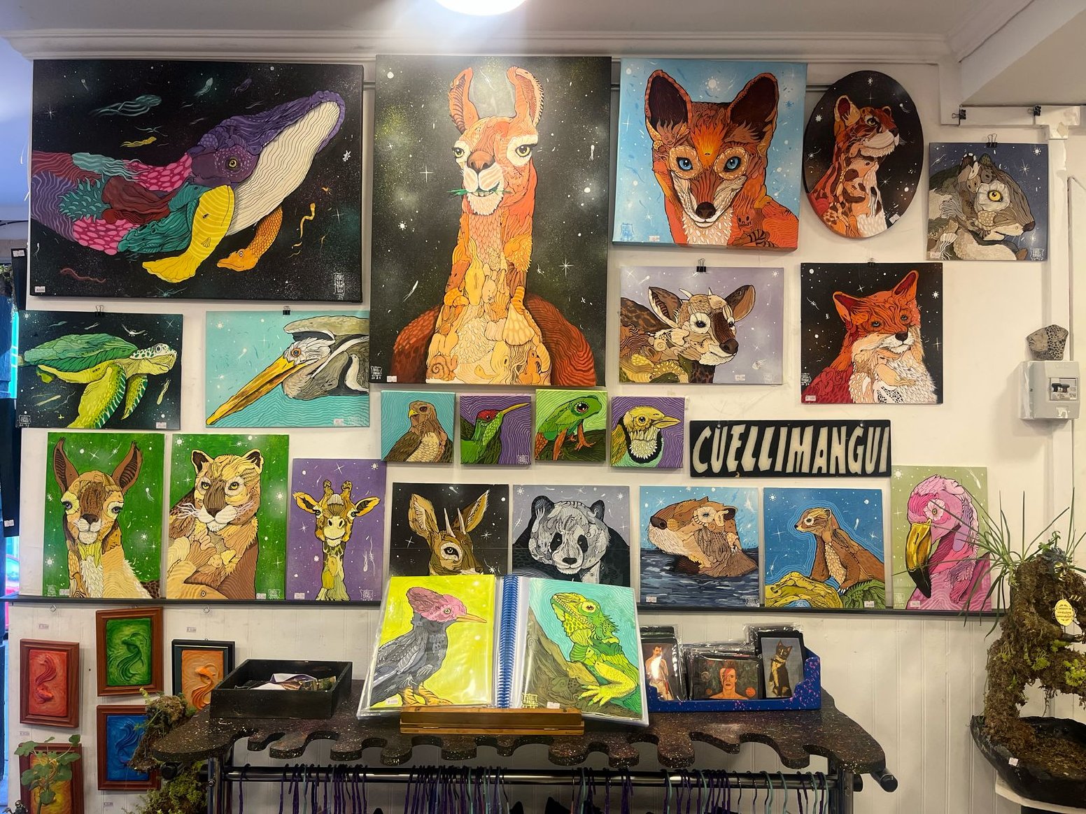 What Makes a Mural in Valparaíso | Chile Private Tour