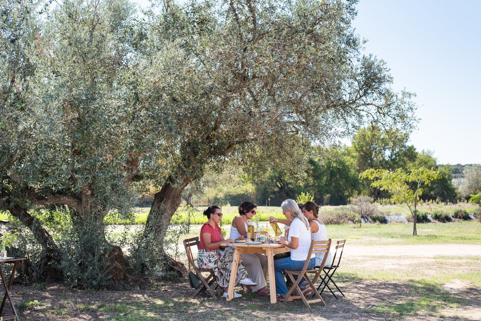 The Herbs of Alentejo in Evora | Portugal Private Tour