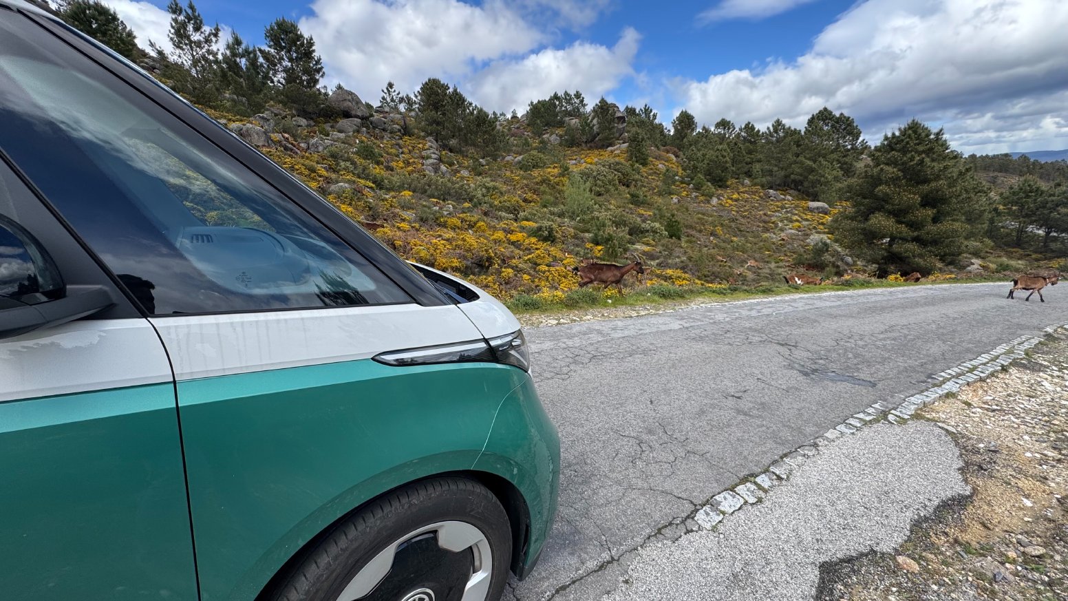 Pick‑Up  in Pinhão