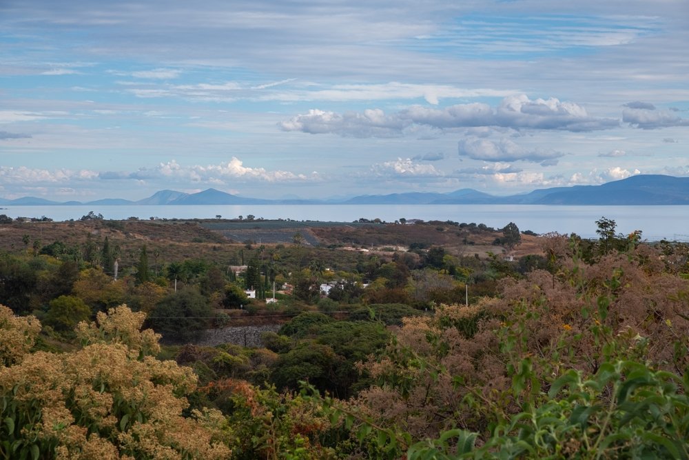 Trip to Chapala city in Chapala