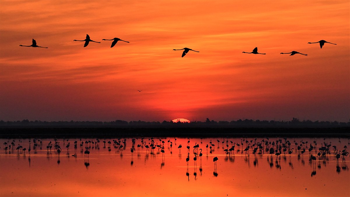 Untold Cádiz: Sherry, Legacy, Doñana in Mesas del Corral | Spain Private Tour