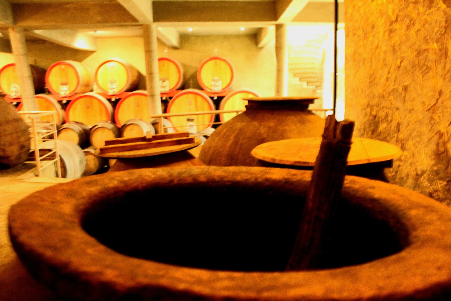 Rendezvous with a Winemaker in Valparaíso | Chile Private Tour