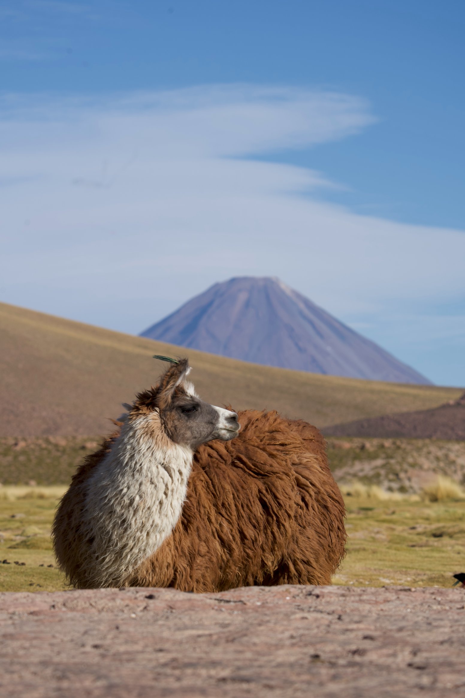 Fire & Water  in San Pedro de Atacama | Chile Private Tour
