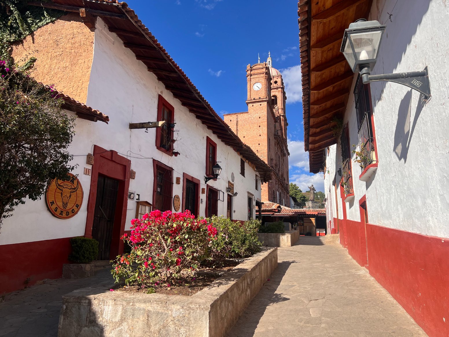 The Living Sierra in Tapalpa | Mexico Private Tour