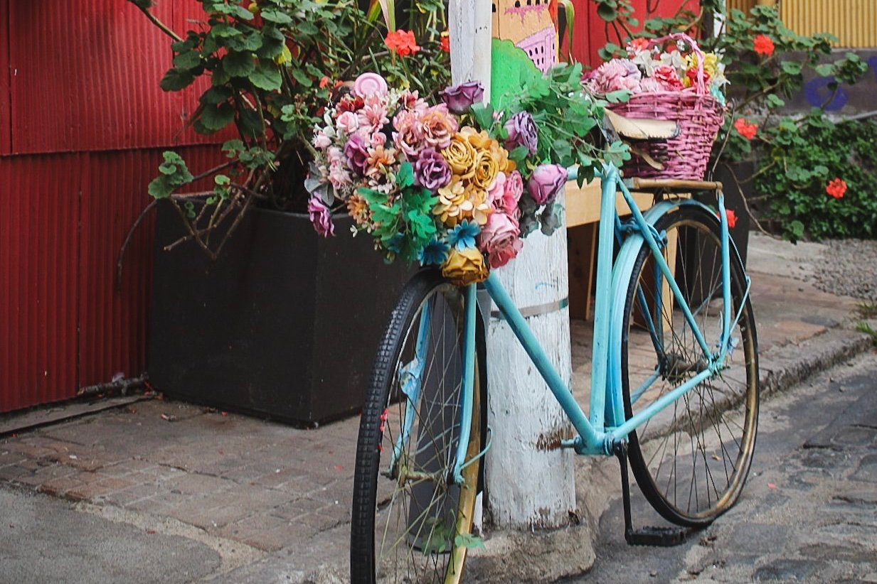 Valparaíso: Exposing Contrasts in Valparaíso | Chile Private Tour