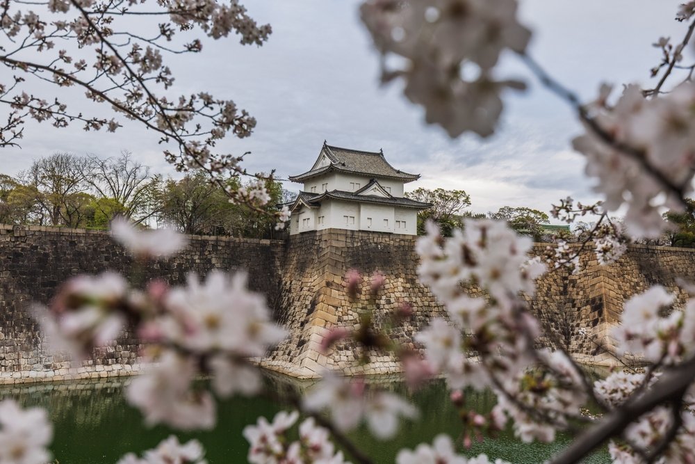 Where Edo Once Ruled in Suginami City