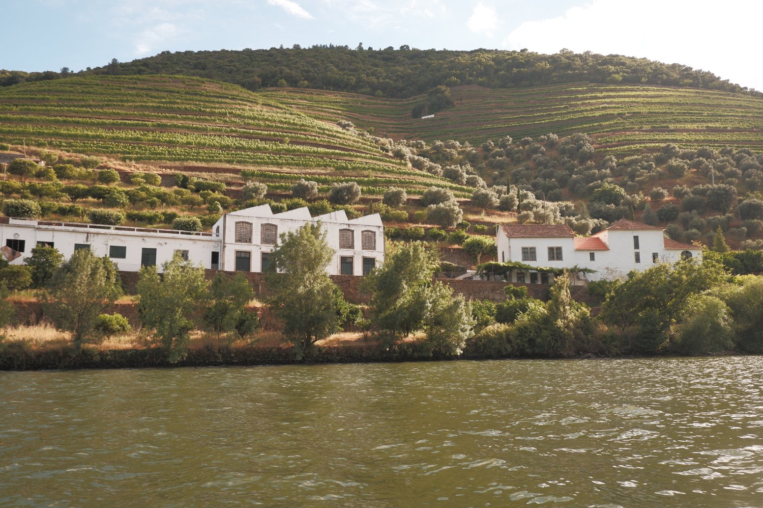 A Day Through the Douro in Pinhão | Portugal Private Tour