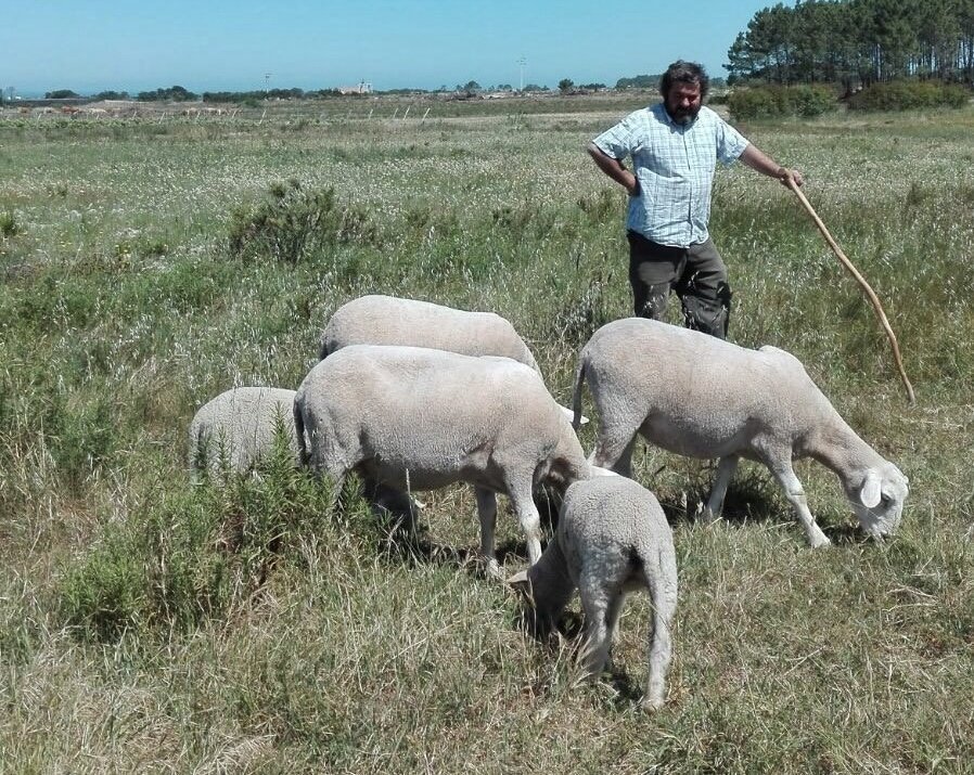 António Has An Organic Farm in Rogil | Portugal Private Tour