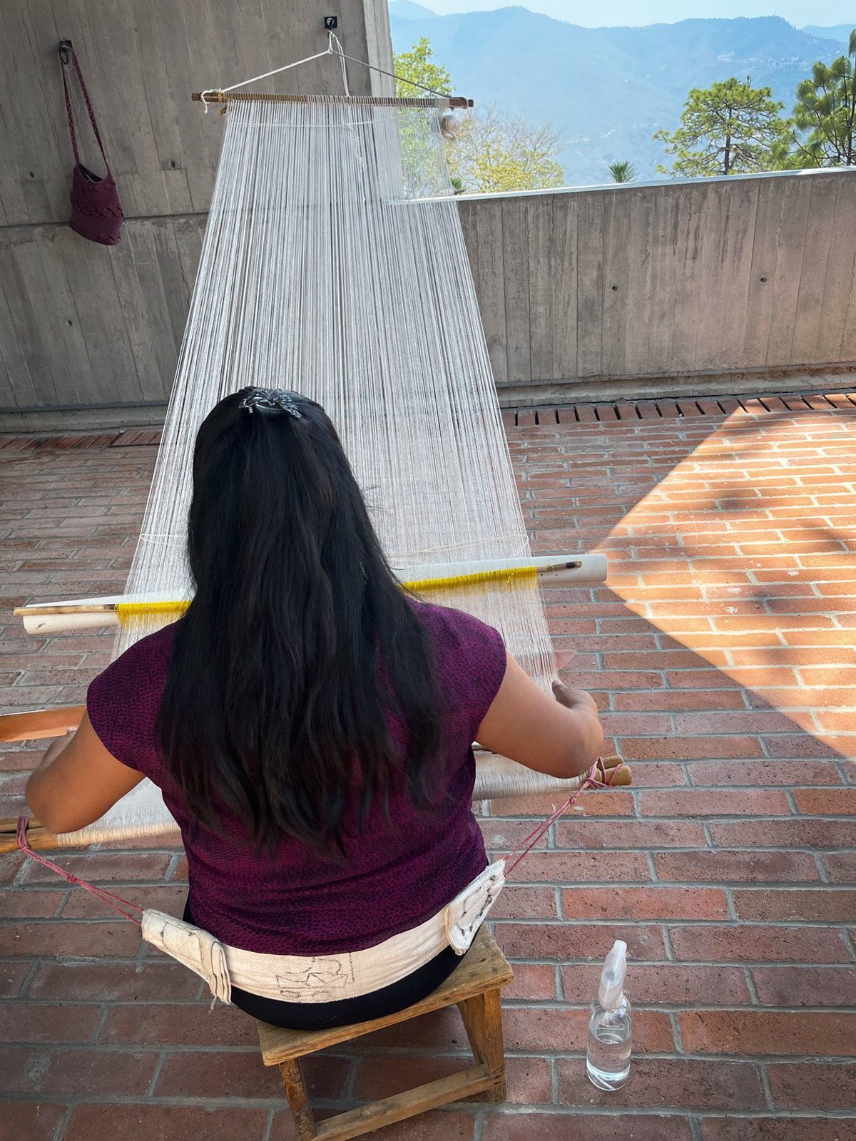 The Art of Oaxacan Silk in Teotitlán del Valle | Mexico Private Tour