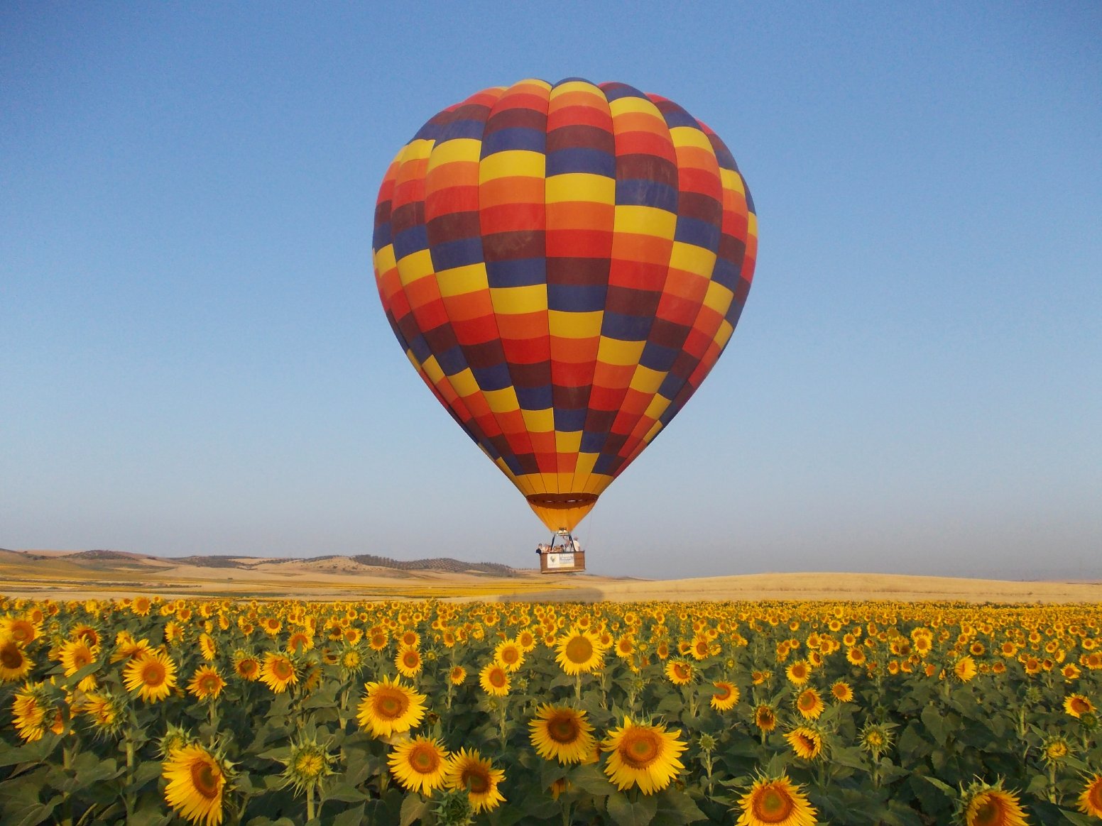 Floating Over Vega de Carmona in Carmona | Spain Private Tour