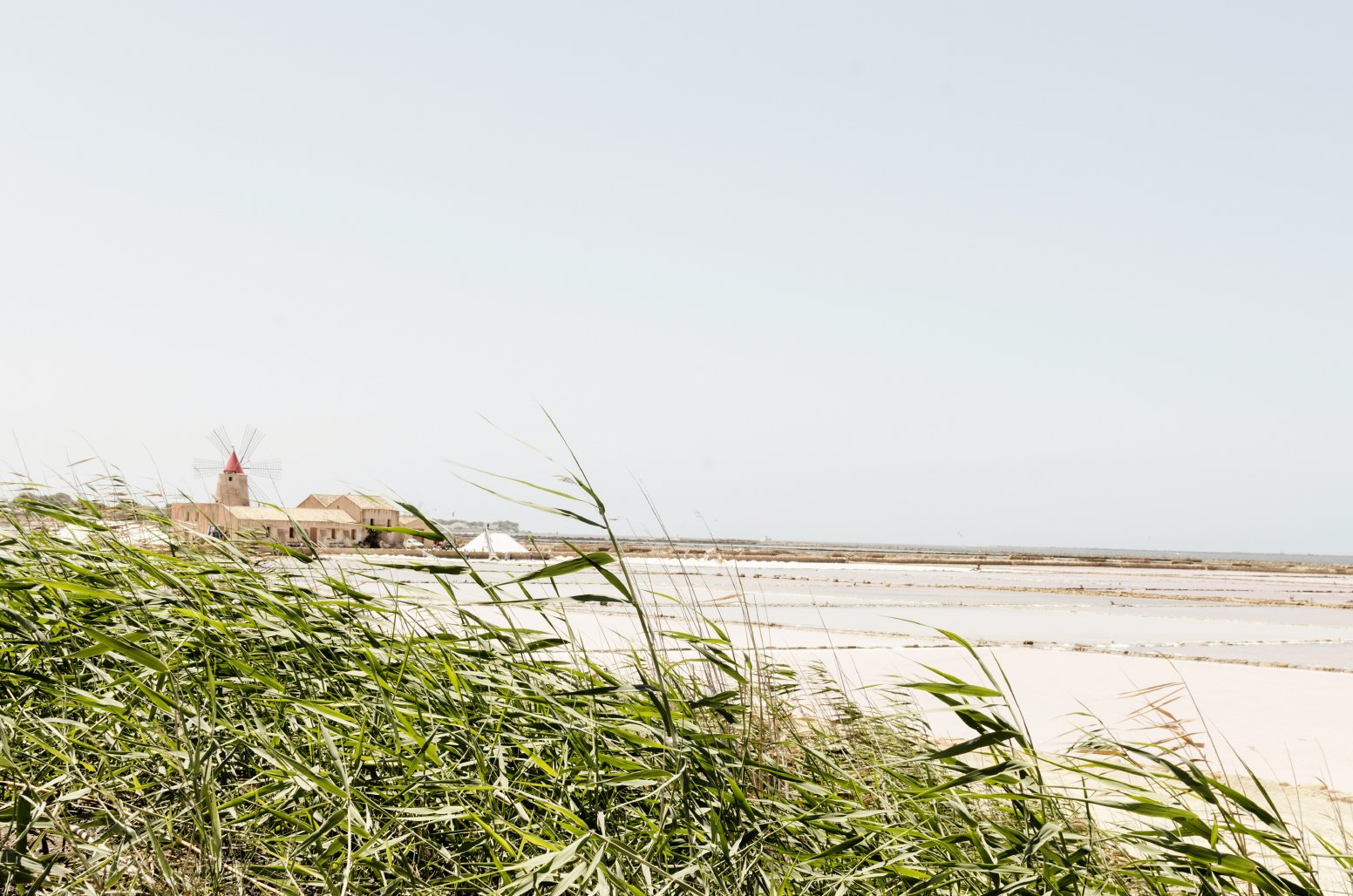 Wine, Wind, and Salt in Marsala | Italy Private Tour