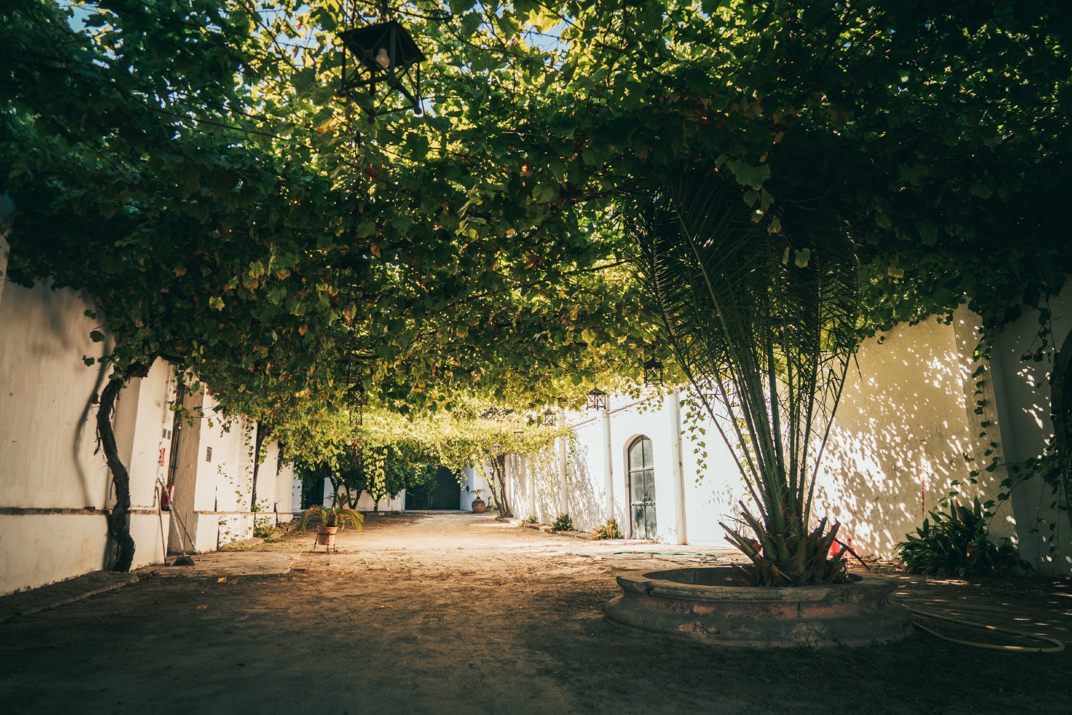 Untold Cádiz: Sherry, Legacy, Doñana in Mesas del Corral | Spain Private Tour