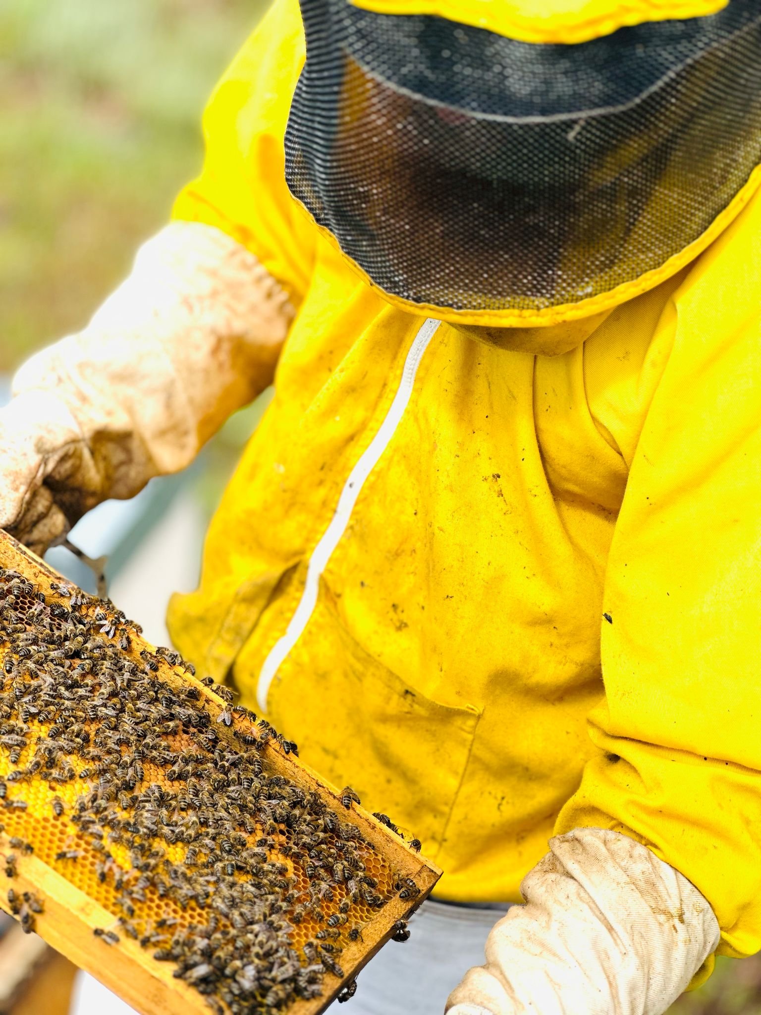 Bee Trails of the Algarve in Benafim | Portugal Shared Tour