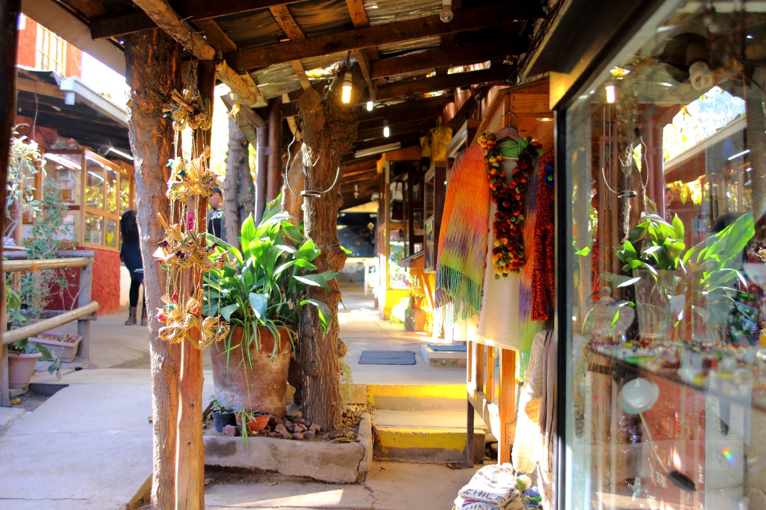 Threaded Through the Andes in Santiago | Chile Private Tour