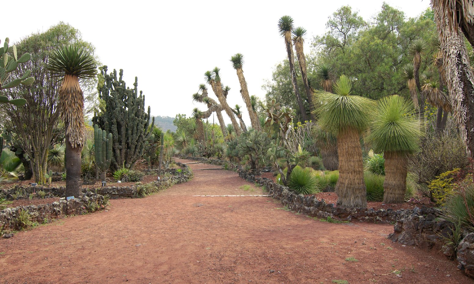 A City Within the City in Mexico City | Mexico Private Tour