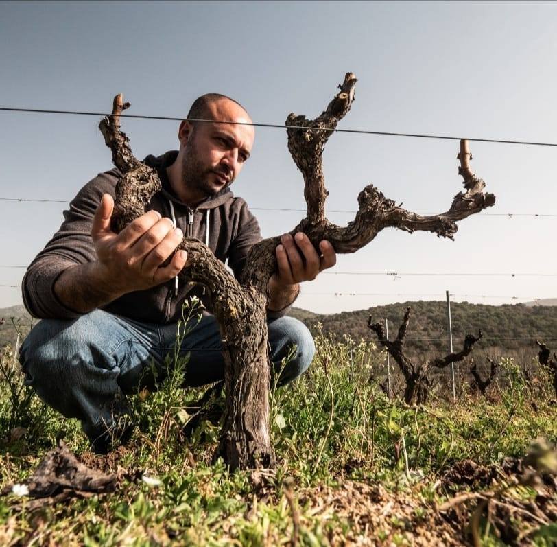 The Nuraghe Among the Vines in Mamoiada | Italy Private Tour
