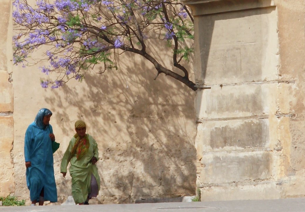 Timeless Medina: A Photo Walk  in Fes | Morocco Private Tour