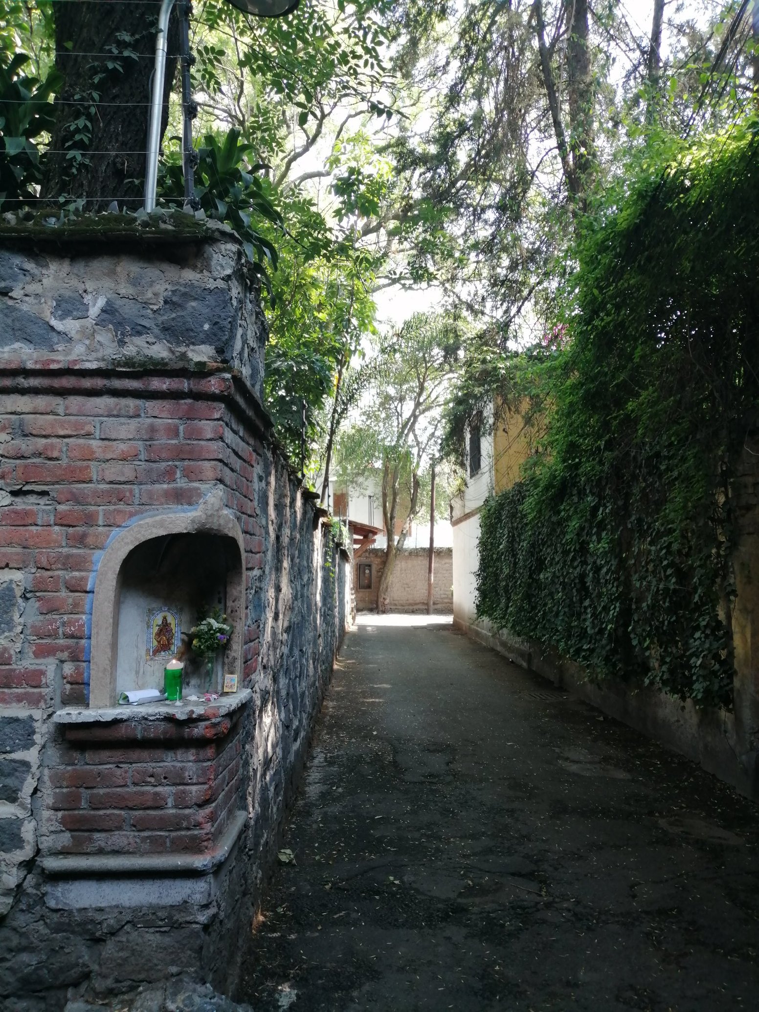 An Artist’s Coyoacán in Mexico City | Mexico Private Tour