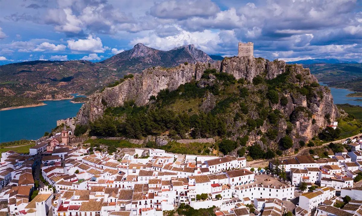 The Olive Grove Whisperer in Zahara de la Sierra | Spain Private Tour
