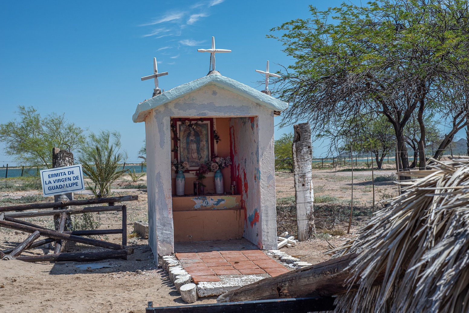 Among the Seri of Bahía in Bahía Kino | Mexico Private Tour