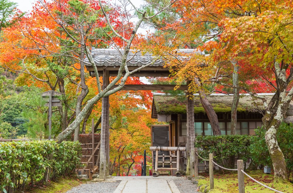 The Kyoto of Small Things in Kyoto | Japan Private Tour