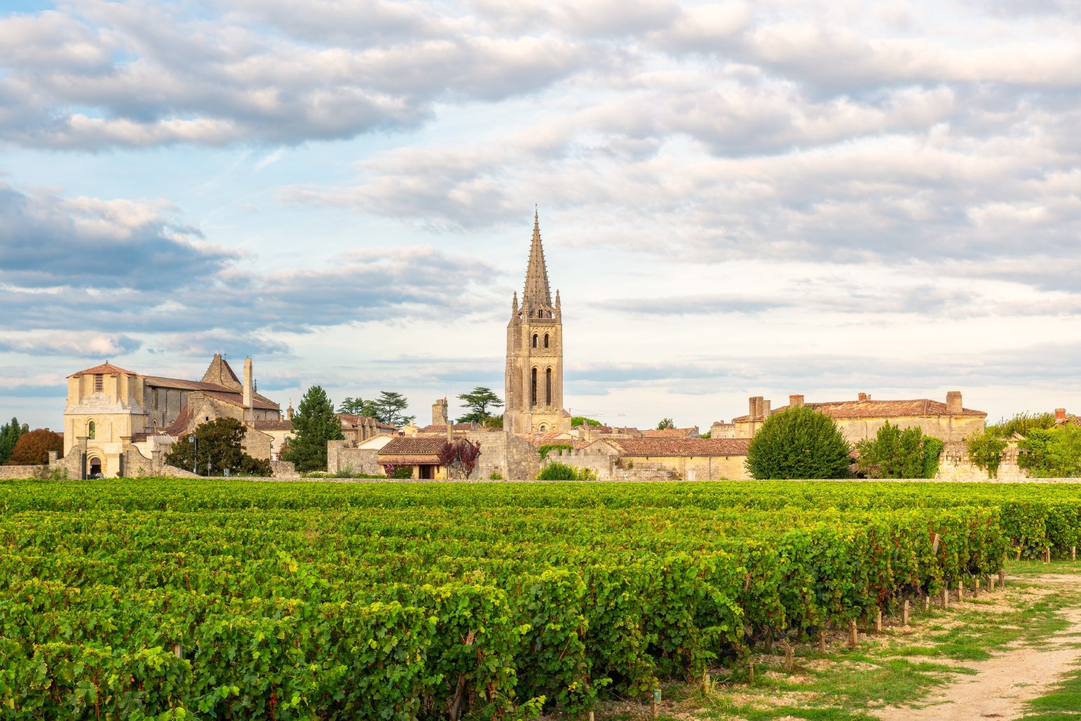 Vineways of Saint-Émilion in Saint-Émilion | France Private Tour