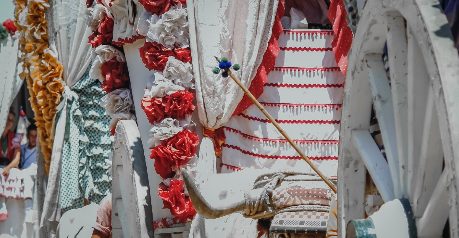 A Day in El Rocio's Pilgrimage in El Rocío | Spain Private Tour