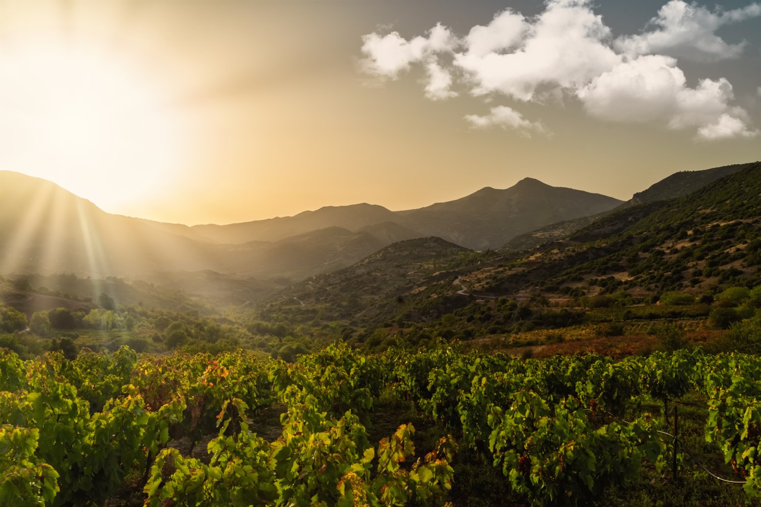 Myth & Wine in Nemea in Nemea | Greece Private Tour