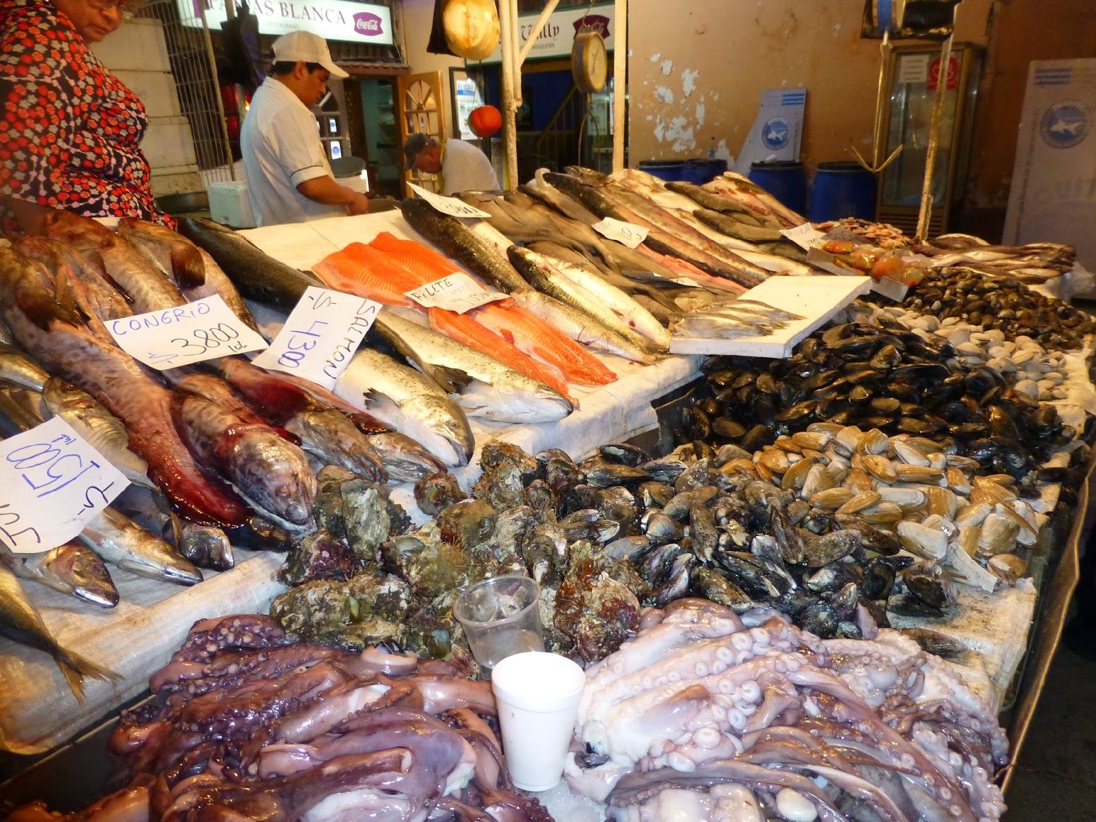 A Gourmand's Ode to Neruda  in Santiago | Chile Private Tour