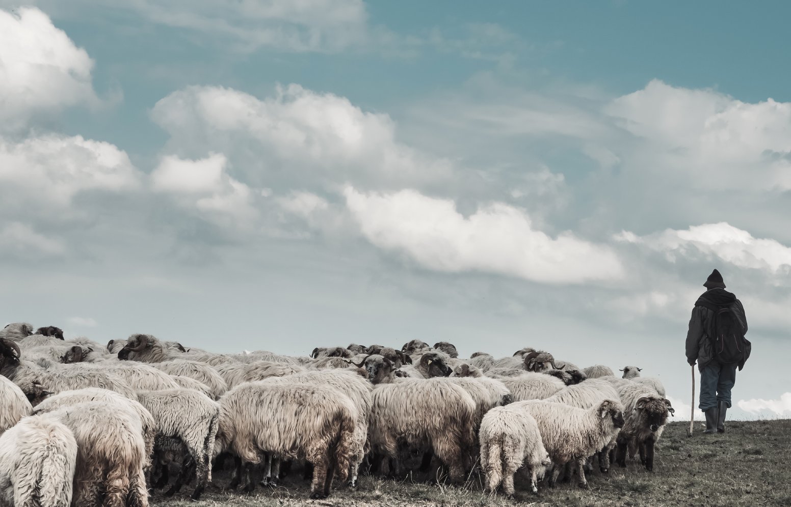Walking the Shepherd's Trail in Trieste | Italy Private Tour