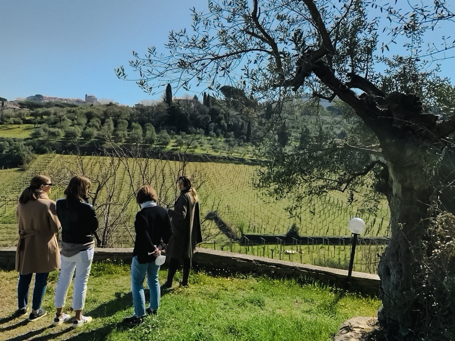 Escape to a Roman Vineyard in San Marco | Italy Private Tour