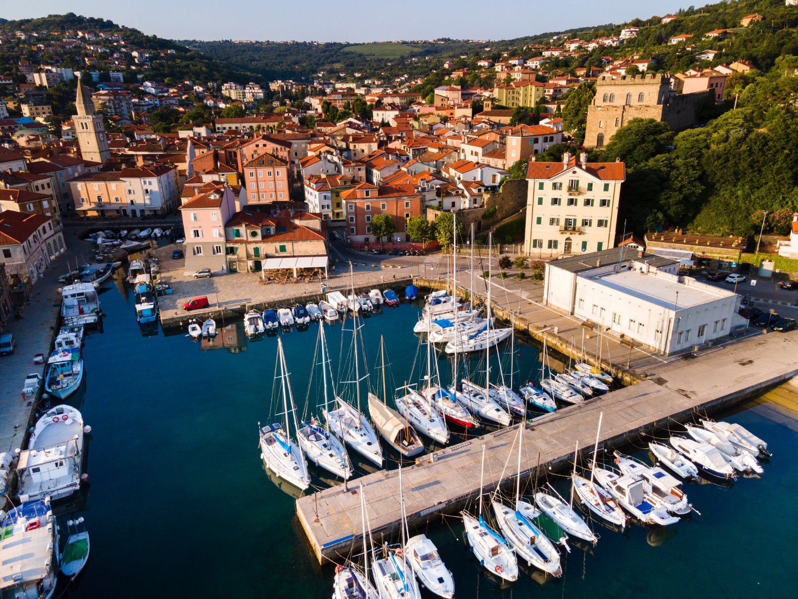 Journey to Border Vines in Trieste | Italy Private Tour