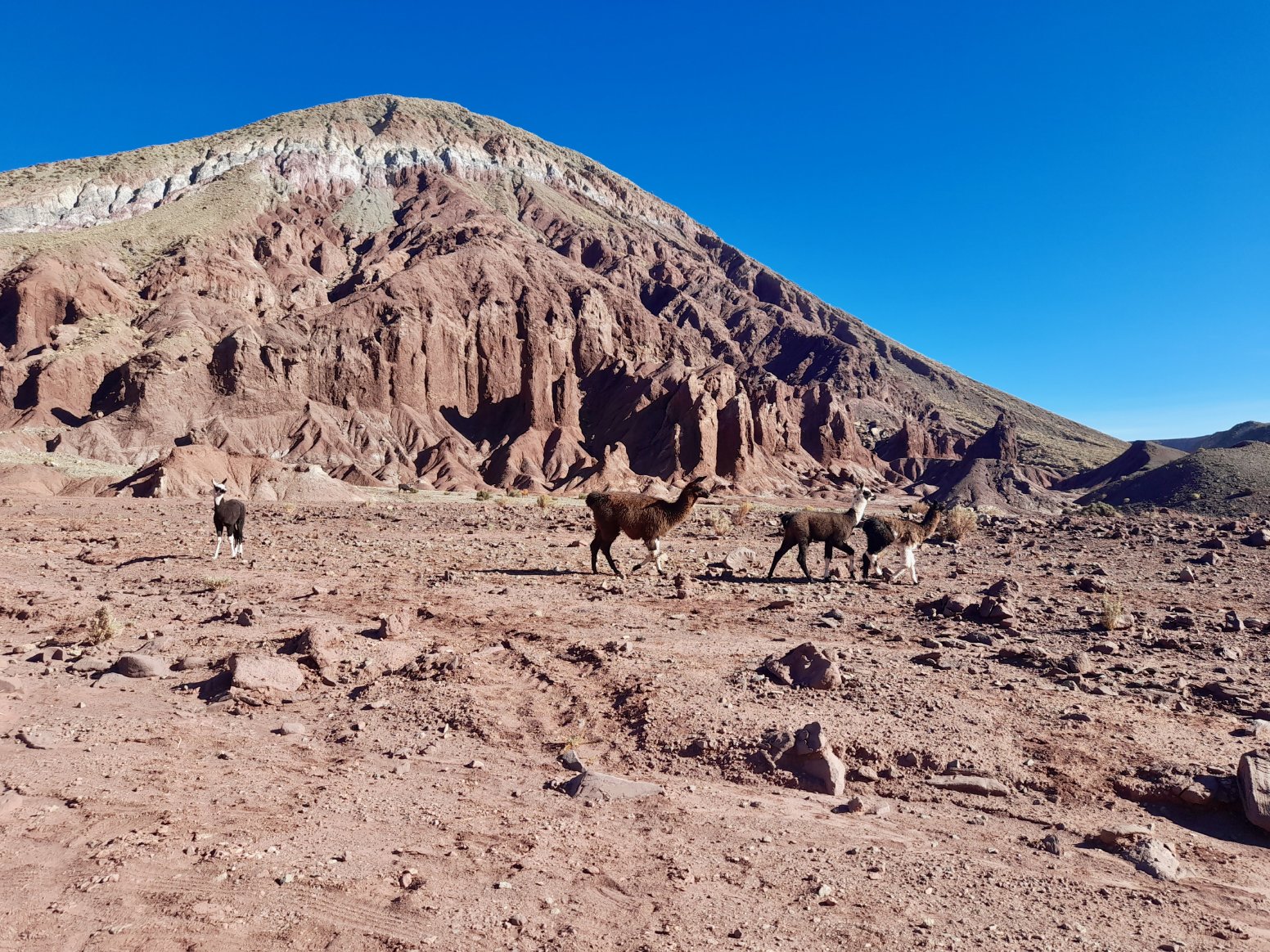 Moon Valley & Rainbow Valley in San Pedro de Atacama