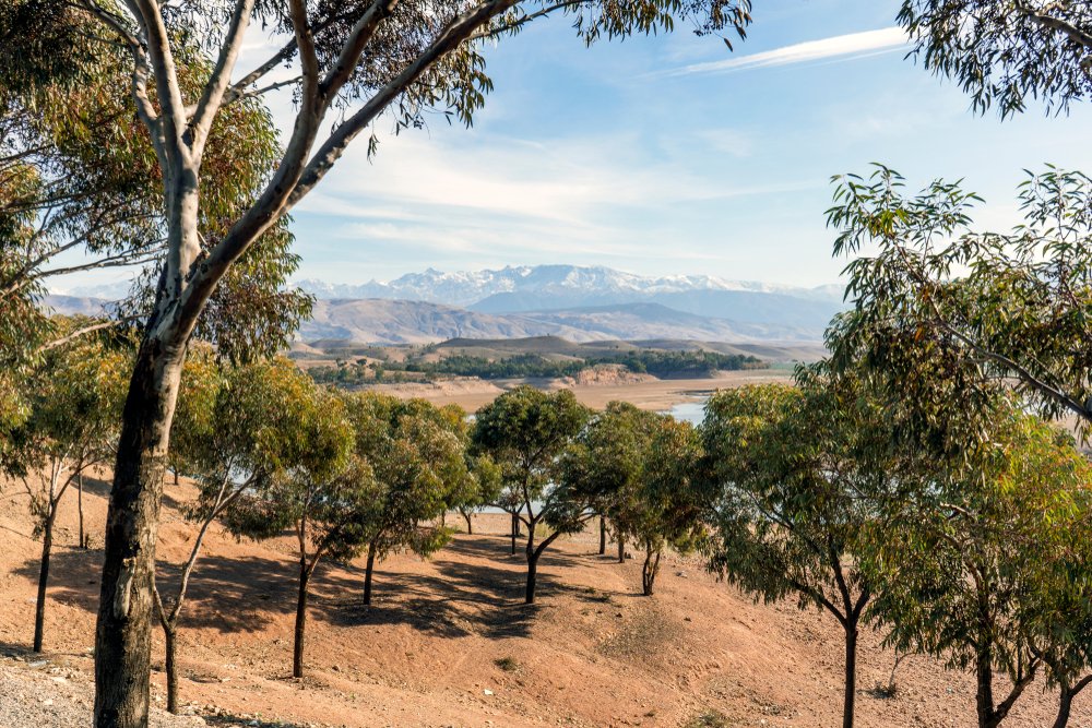 Across the Kik Plateau in Asni | Morocco Private Tour