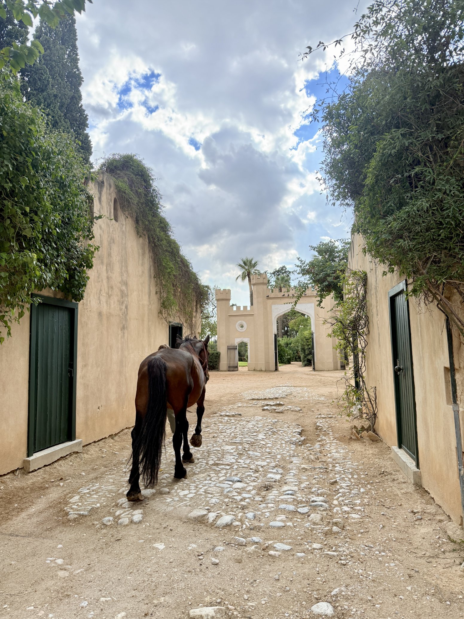 The Queen’s Hidden Retreat in Ilion | Greece Private Tour