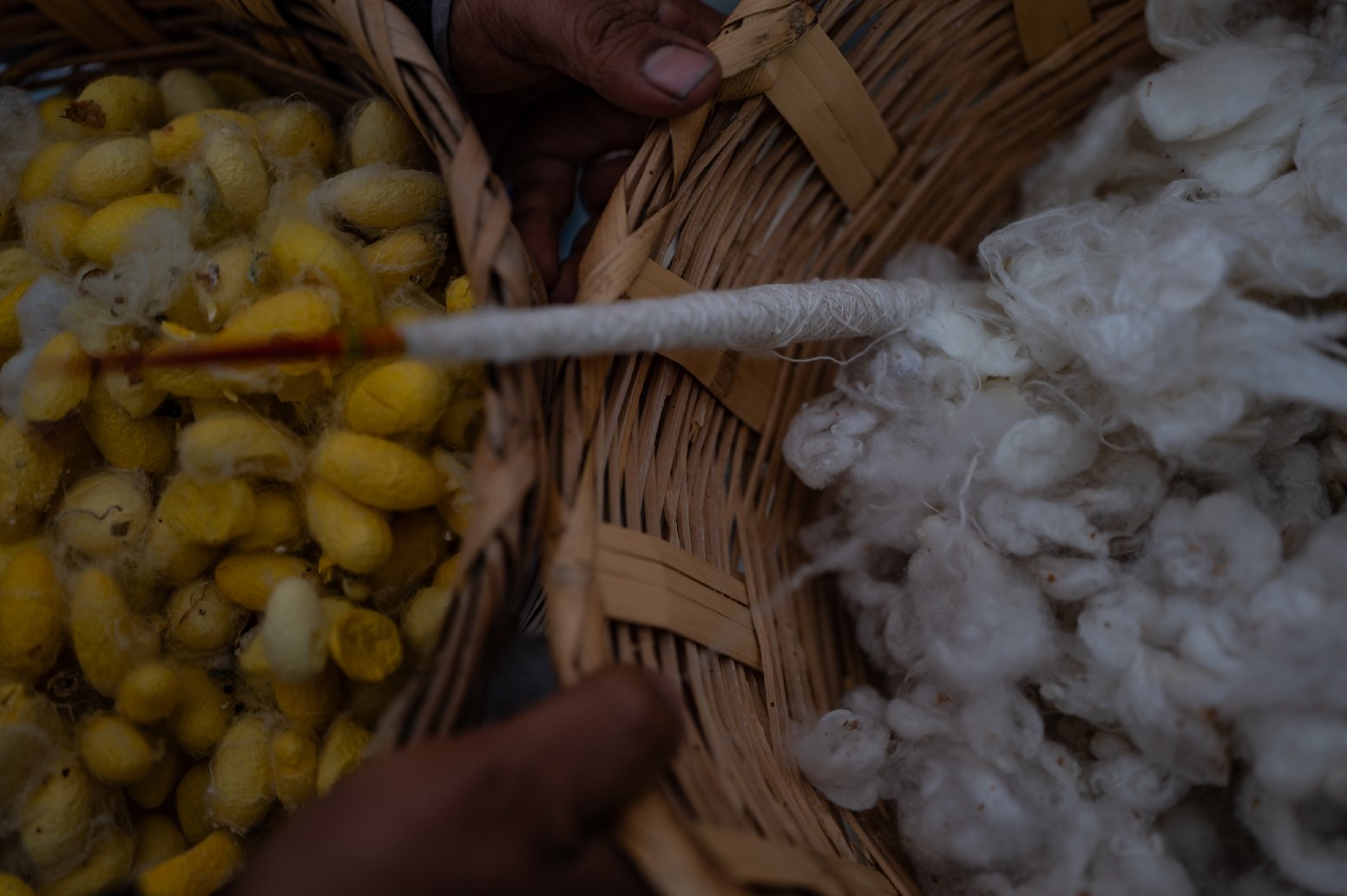 The Art of Oaxacan Silk in Teotitlán del Valle | Mexico Private Tour