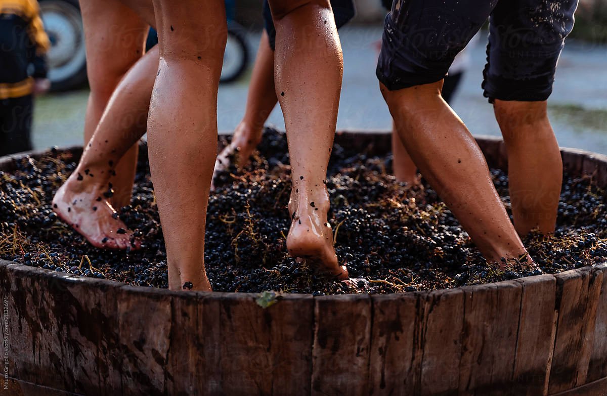 Douro Harvest Rituals in Pinhão | Portugal Private Tour