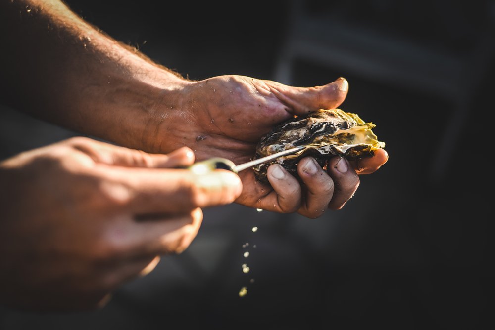 The Wine That Slept Underwater in Málaga | Spain Private Tour