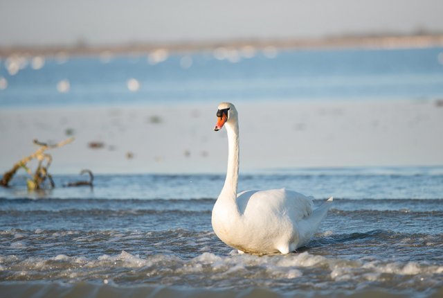 Preserving Wild & Peace. in Venice | Italy Private Tour
