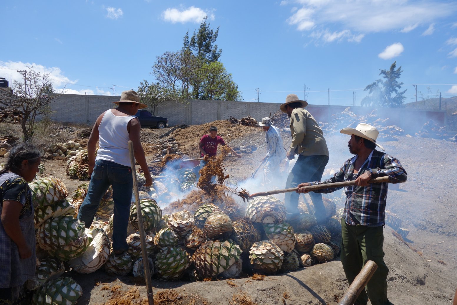 Clay Pot Distillation in Oaxaca