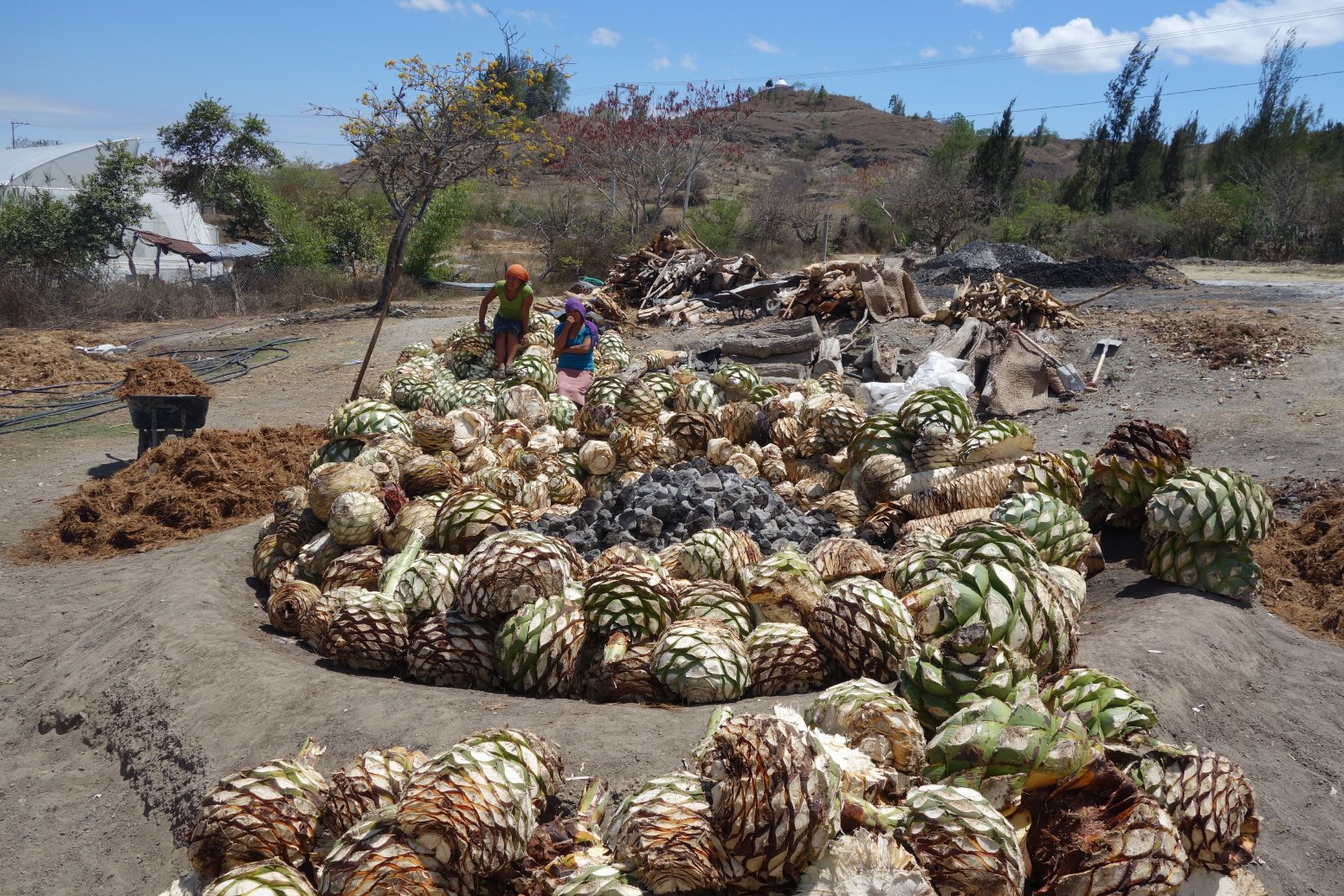 Generations of Mezcal in Oaxaca | Mexico Private Tour