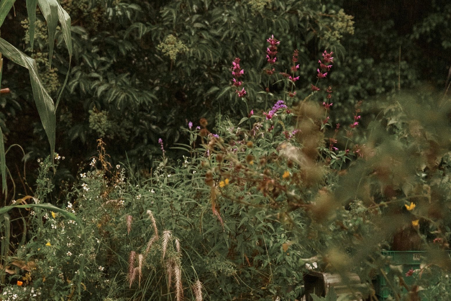 Color From the Garden in Mexico City | Mexico Private Tour