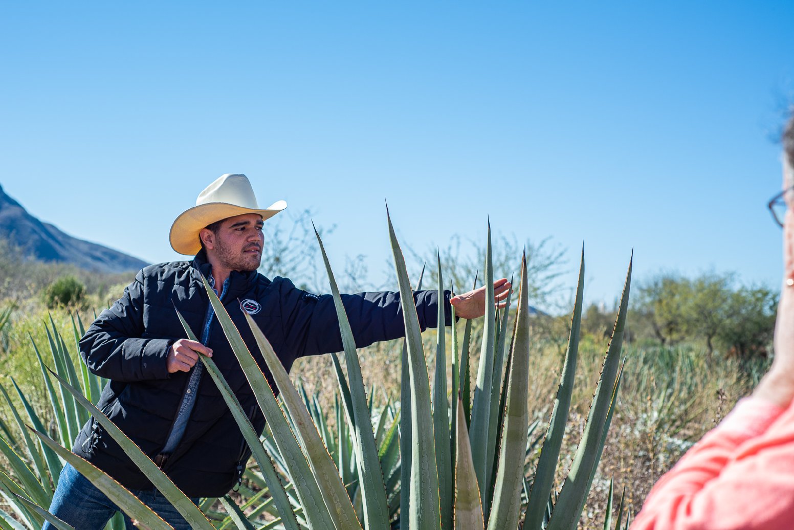 Wild Agave Spirit of Sonora in Bajadita | Mexico Private Tour