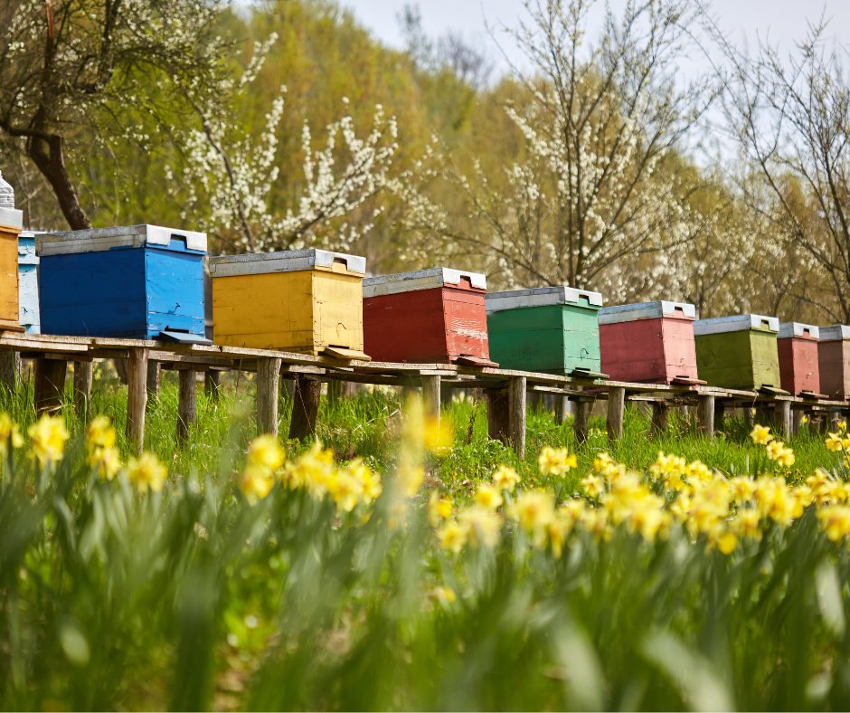 Hive to Jar in Argolida in Nafplion | Greece Private Tour