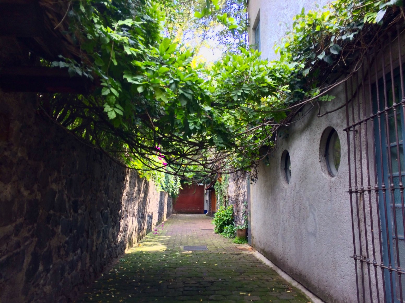 An Artist’s Coyoacán in Mexico City | Mexico Private Tour
